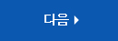 다음